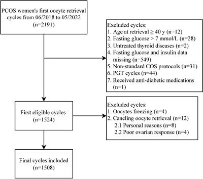 Association between HOMA-IR and ovarian sensitivity index in women with PCOS undergoing ART: A retrospective cohort study